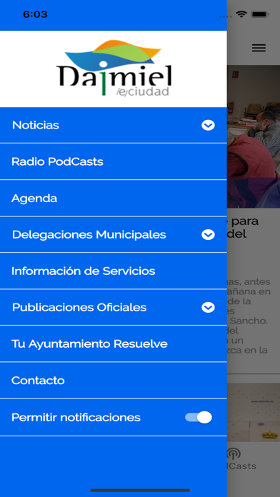 Daimiel Institucional Screenshot