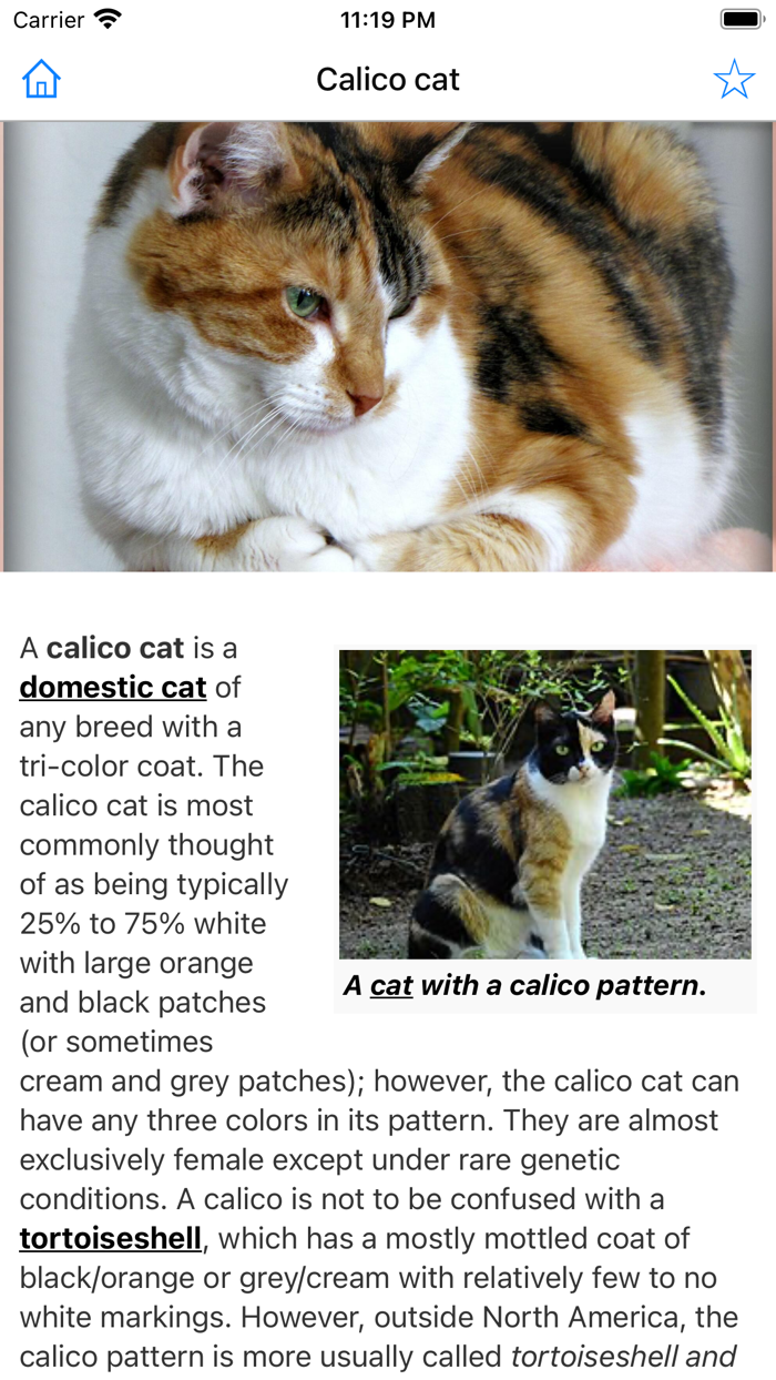Encyclopedia of Cats