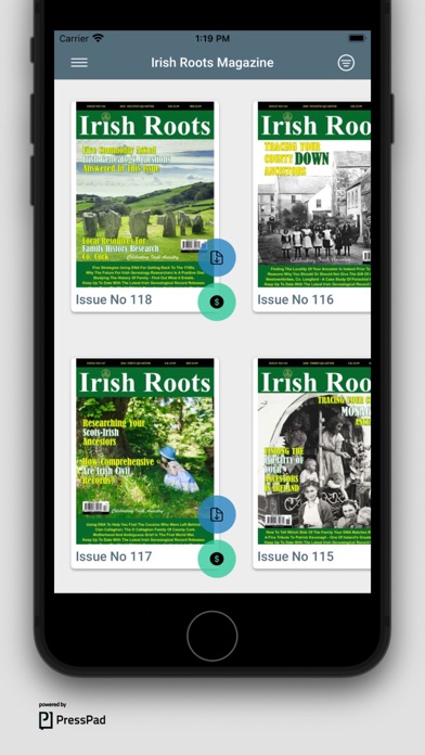 Irish Roots Magazine Screenshot
