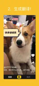 Pet Videos Translator screenshot #3 for iPhone