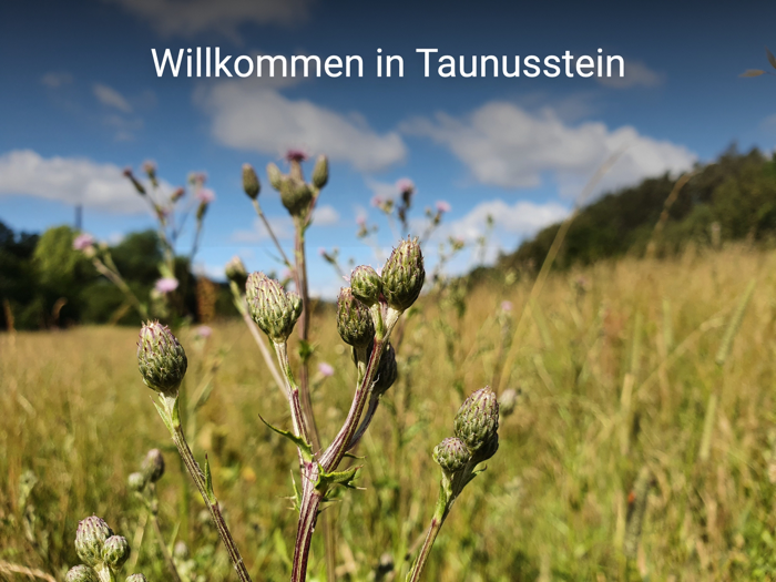 Entdecke Taunusstein