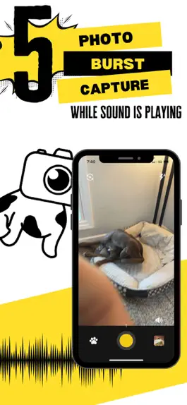 Game screenshot Pawparazzi hack