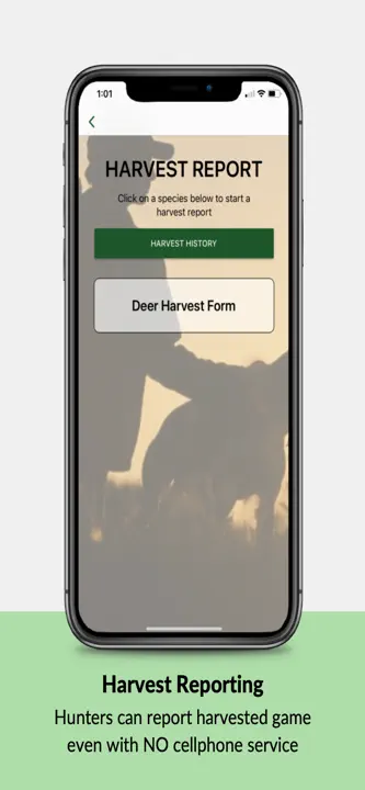 Fish: Screenshot 4 von 4