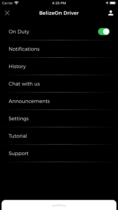 BelizeOn Driver Screenshot