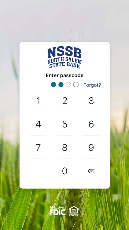 NSSB