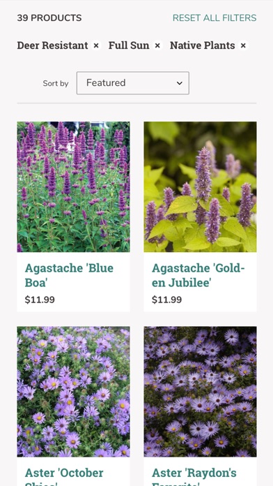 BloomBox Your Garden Delivered Screenshot