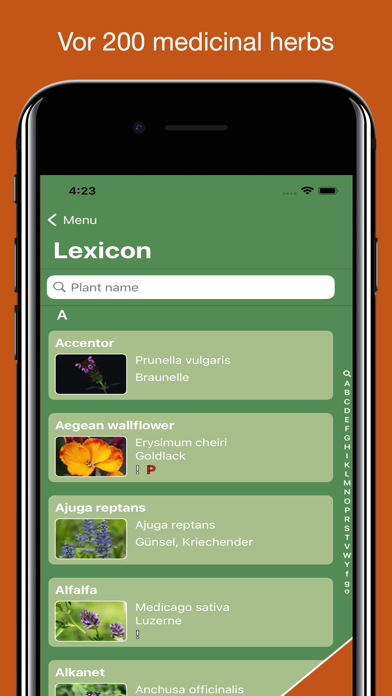 Medicinal Herbs Lexicon Screenshot