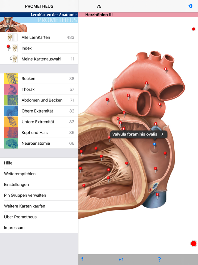 PROMETHEUS - LernKarten Screenshot