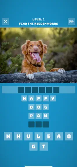 Game screenshot Hidden Words Puzzle mod apk