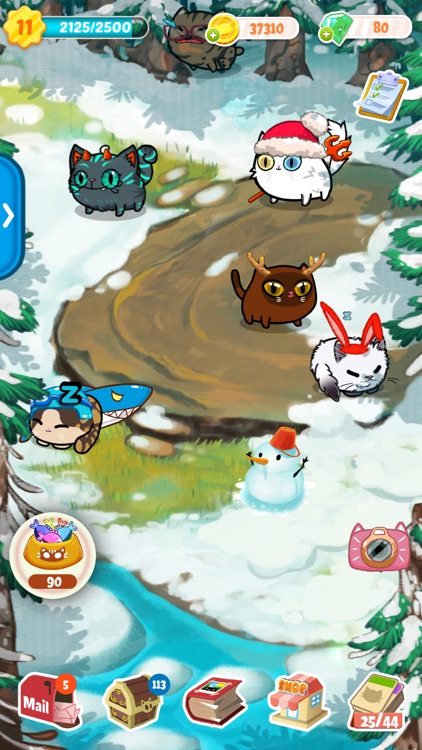 Fancy Cats - Kitten Care Game