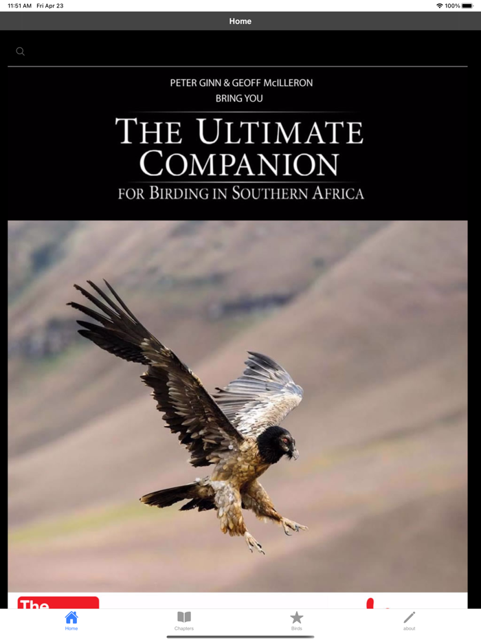 Birding In Southern Africa