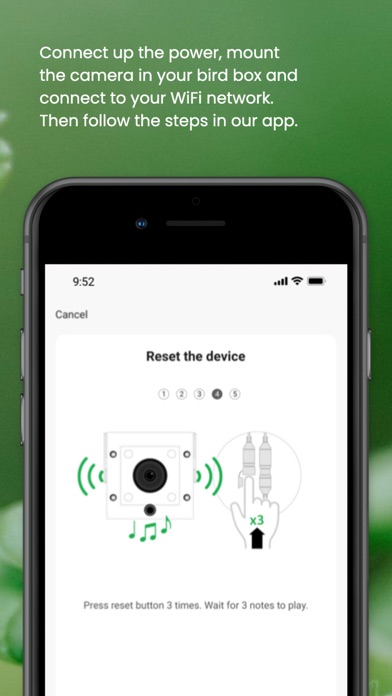 Green Feathers Screenshot