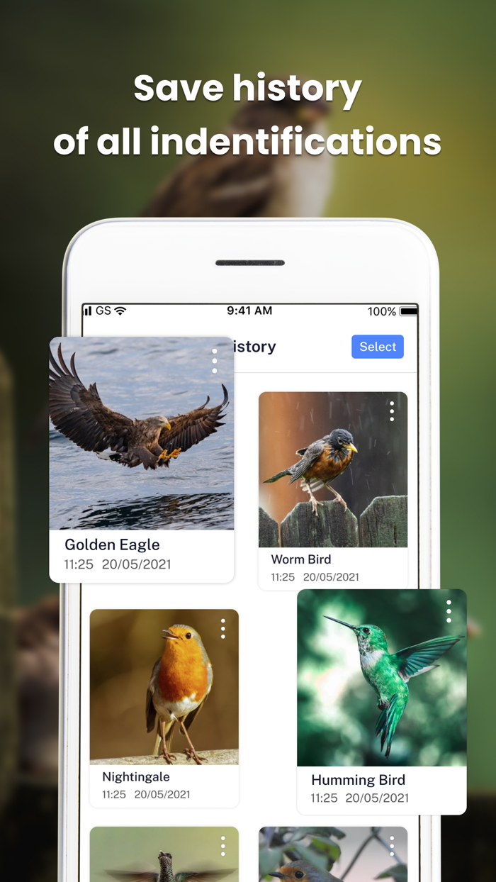 Bird Identifier - Find Bird