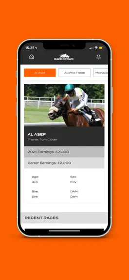 Game screenshot Race Crowd mod apk