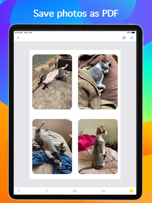 Convert+ PDF Converter iPad screenshot 3 - Productivity app