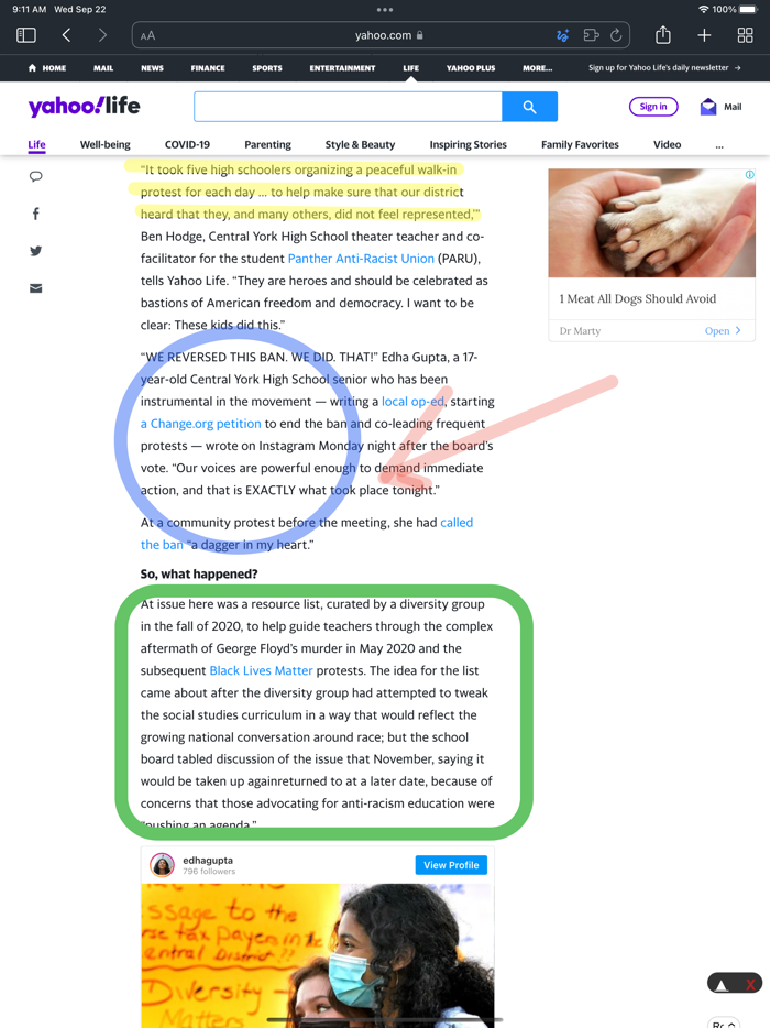 Draw on Web Pages for Safari