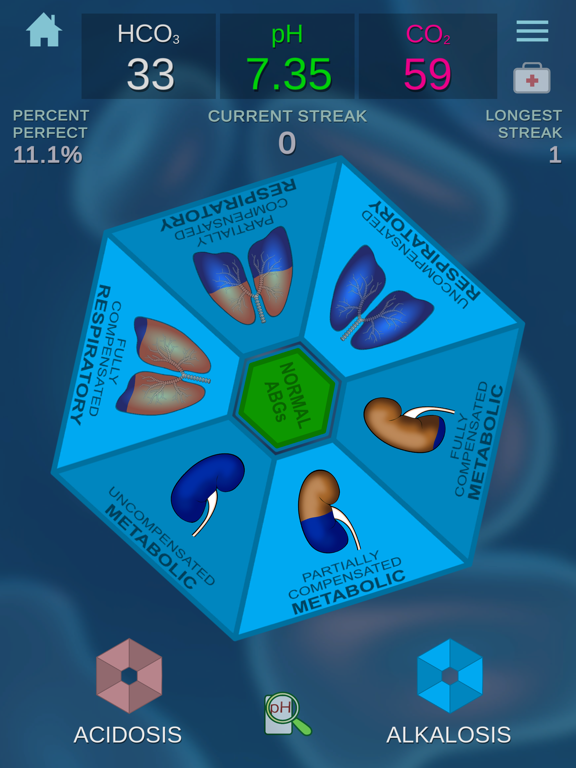 ABGs NOW! iPad screenshot 2 - Medical app