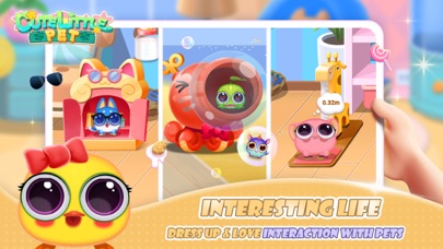 Little Cute Pets Screenshot