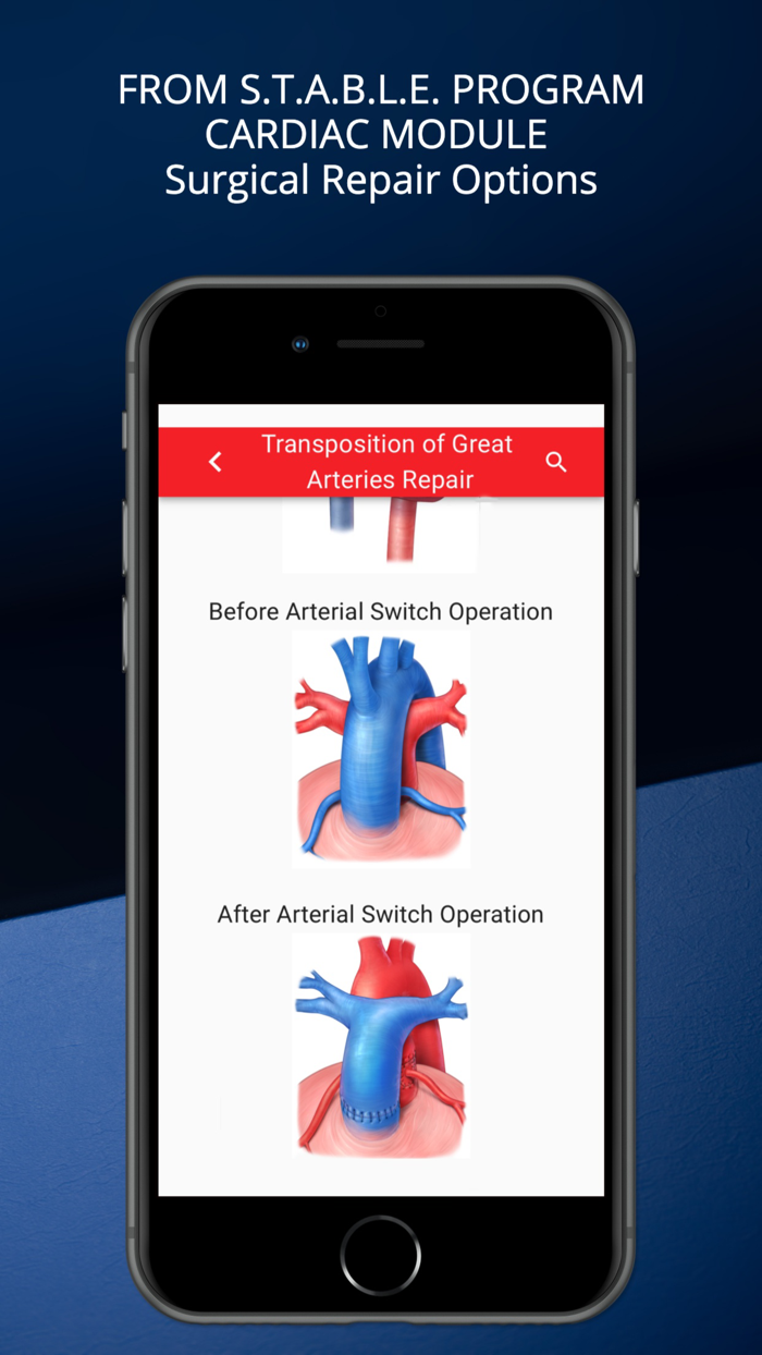 STABLEize for HealthStream