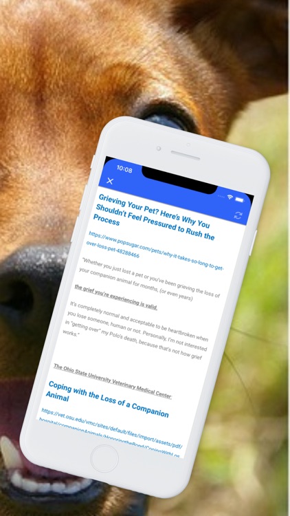 Pet Loss screenshot-3