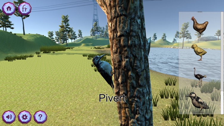 Zookidi-3D screenshot-5