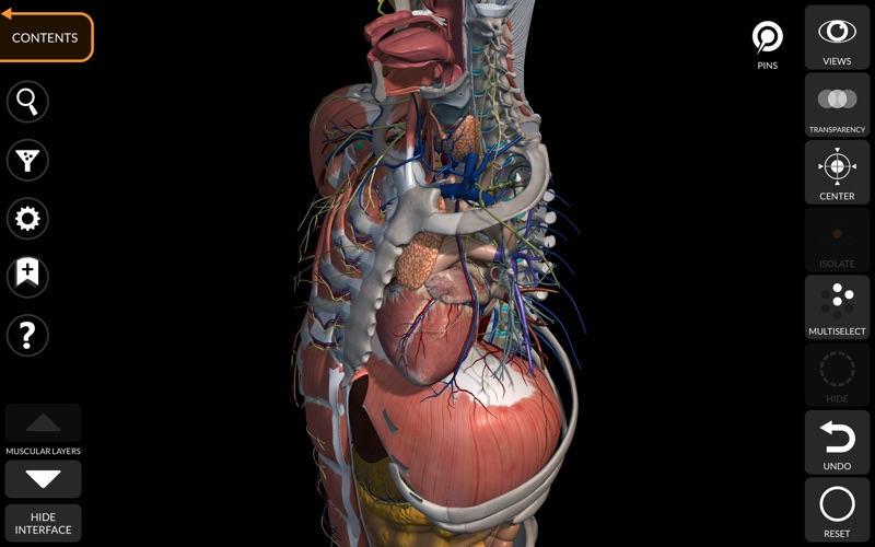 anatomy atlas software free download