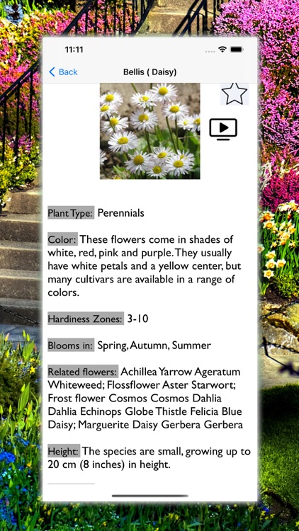 Flowers Dictionary with Images