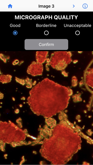 Screenshot #1 pour IsletSwipe
