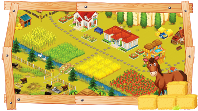 HomeLand Farm紹介画像3