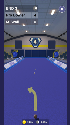 Bowls Pro screenshot 3