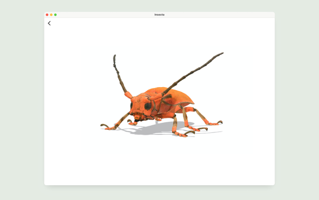 ‎Insecta - Study Insects in AR Screenshot