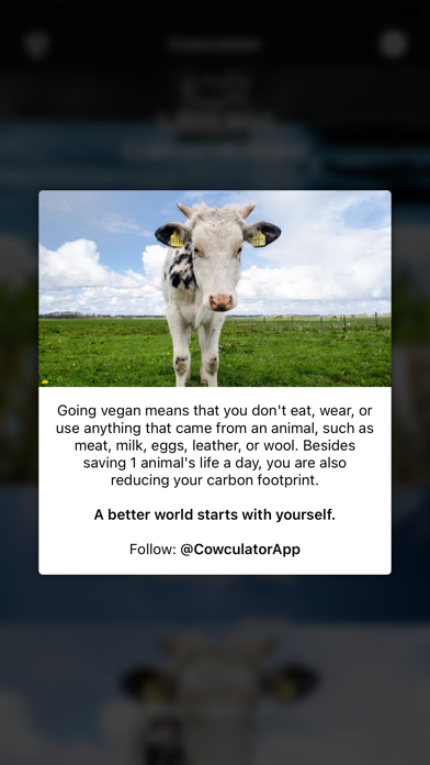 Cowculator - Friends, Not Food Screenshot