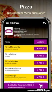 city-pizza plauen problems & solutions and troubleshooting guide - 4