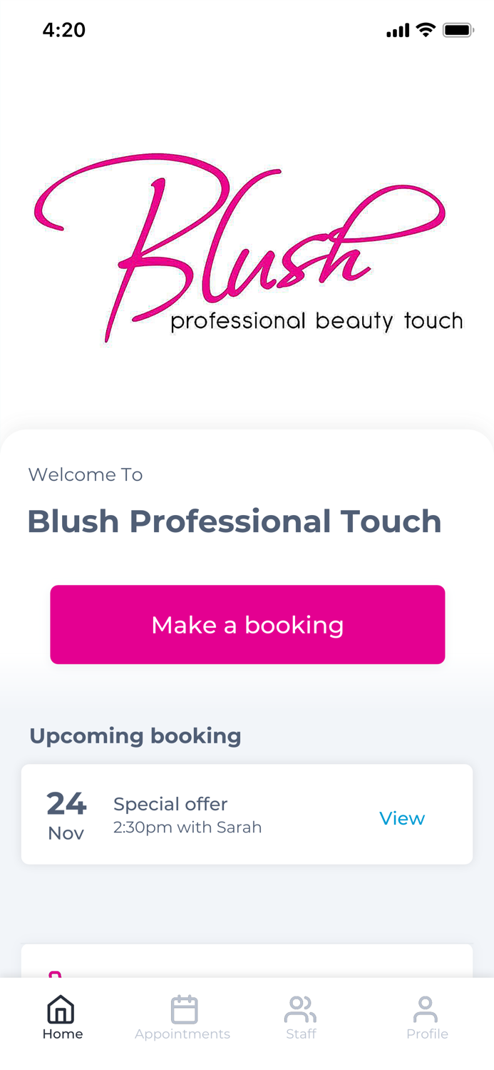 Blush Professional Touch