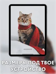 Красивые обои и темы на айфон айпад изображения 3