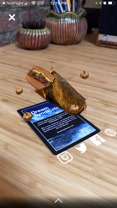 Dream Syndicate AR Screenshot