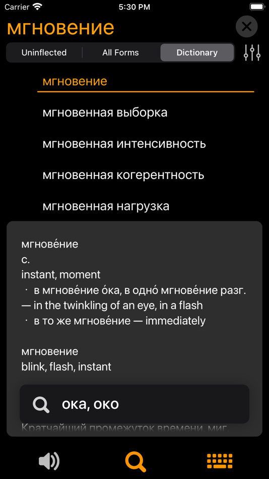 #3. RuFlex Pro Russian Inflection (iOS) 由: SERGEY CHALKOV
