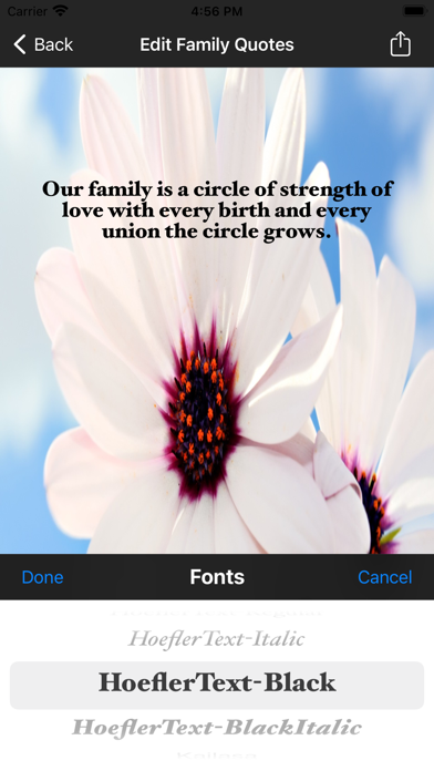 Family-Quotes Screenshot