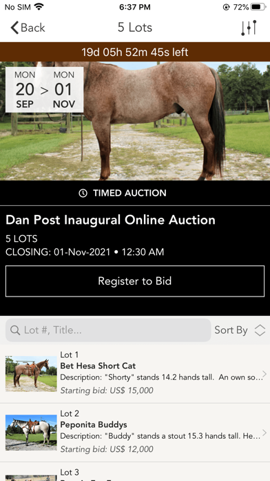 Dan Post Quarter Horse Auction Screenshot