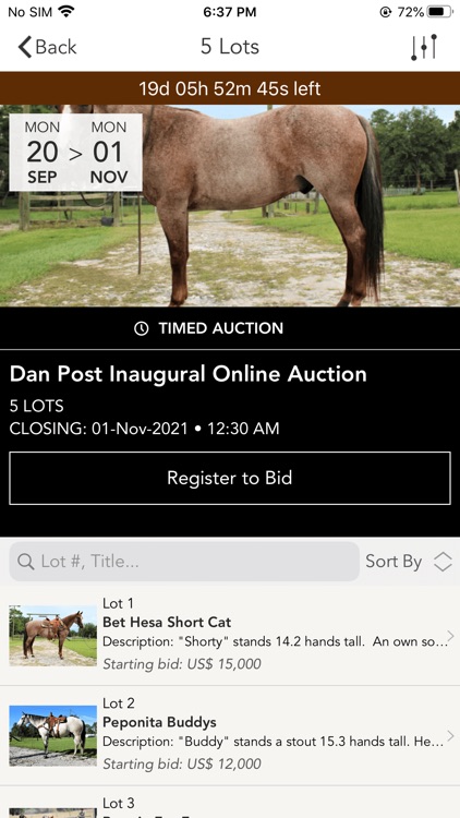 Dan Post Quarter Horse Auction