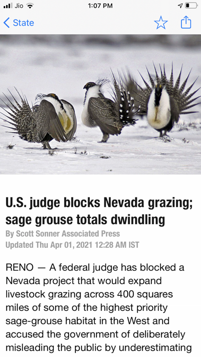 Nevada Appeal Screenshot