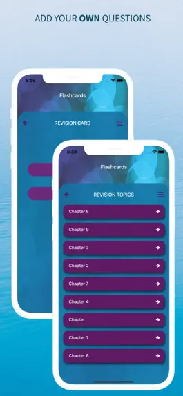 Game screenshot A-Level French Revision apk