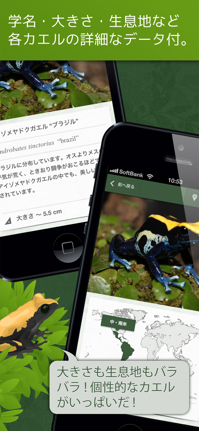 あわしま世界のカエル図鑑