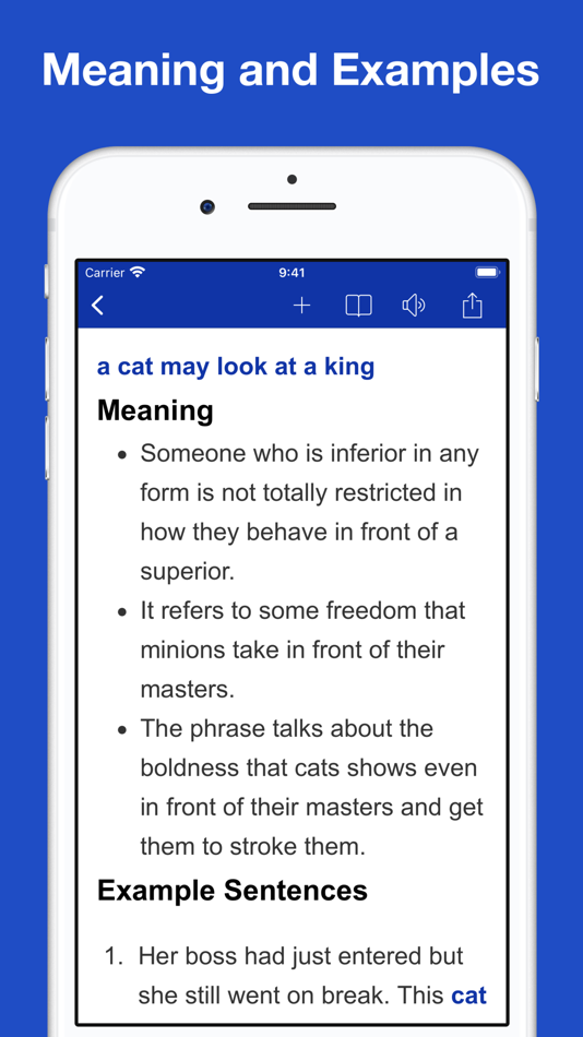 #2. Dictionary of Idiom Origins (iOS) 由: Thuy Duong