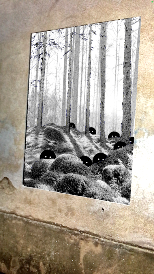 #5. Faune (iOS) By: Adrien M & Claire B
