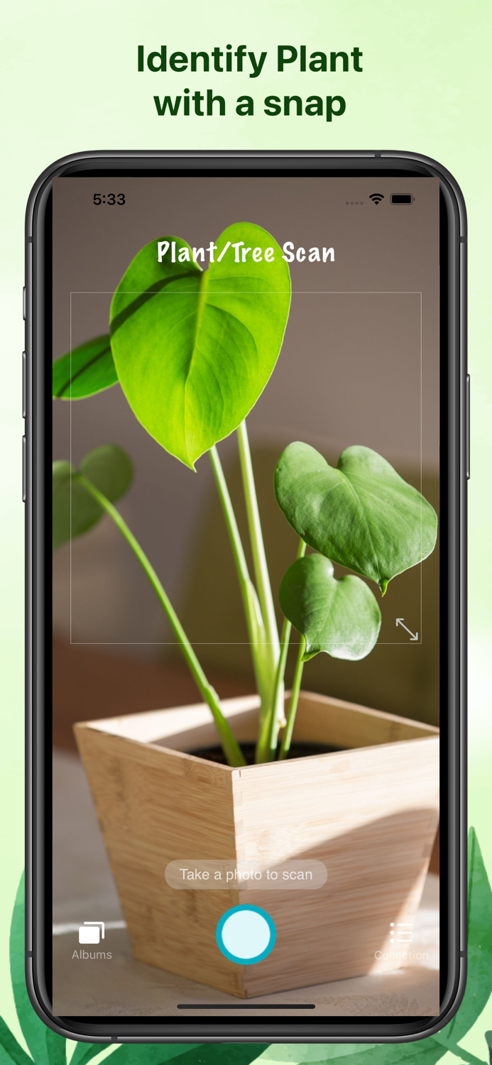 Weed identification leaf snap