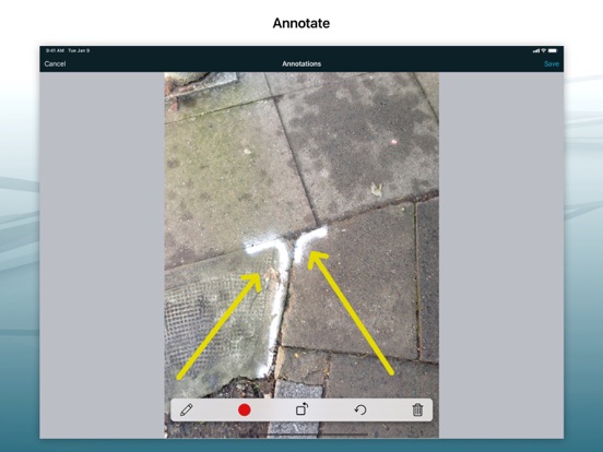 Site Audit Pro iPad app afbeelding 4