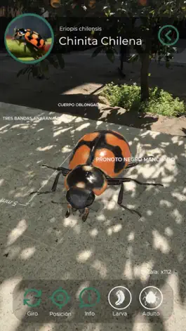 Game screenshot Insectarium Afipa AR apk