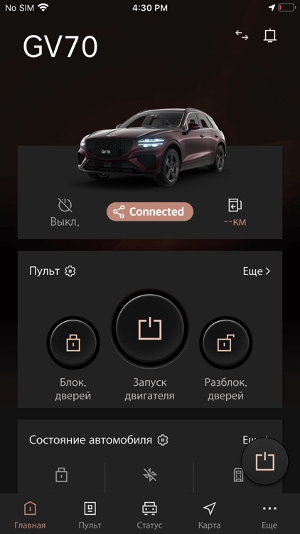 Genesis Connected Services