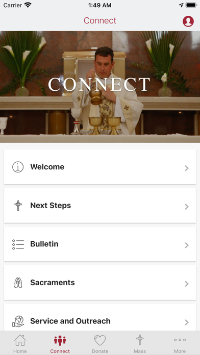 St Francis: Tuscaloosa Screenshot